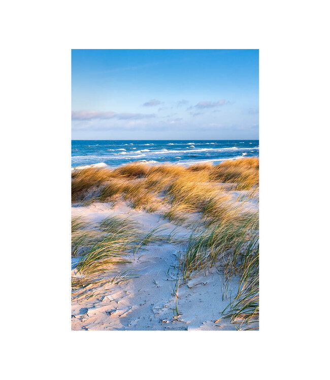 Akustikbild "Coastal Dunes" - in einem eleganten Aluminiumrahmen