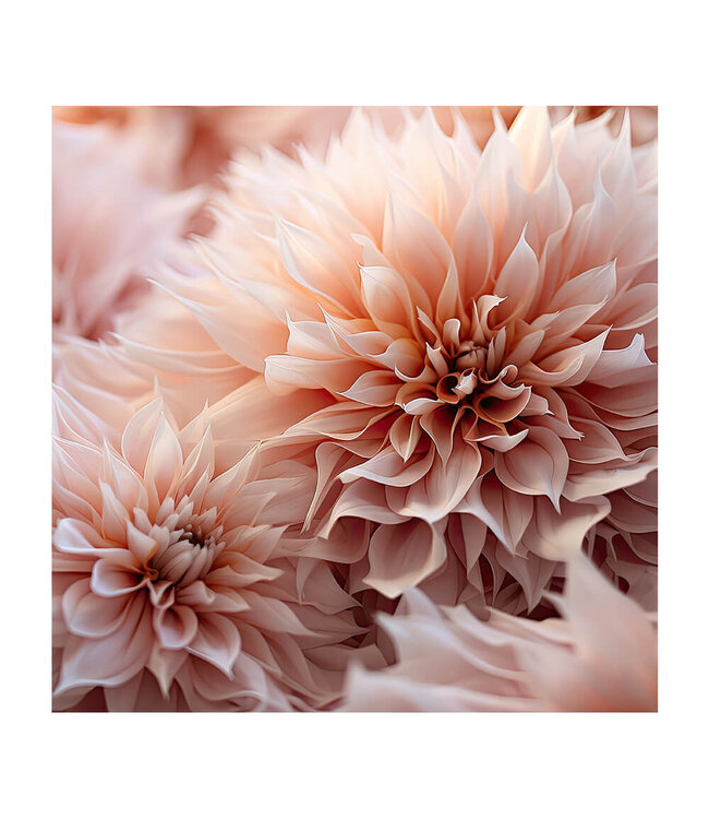 Acoustic picture "peach floral" - in an elegant aluminum frame