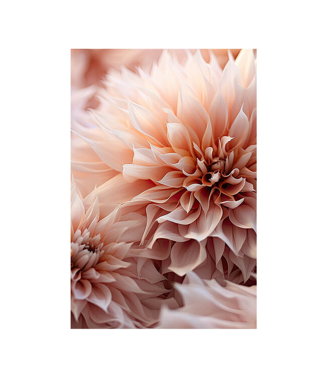 Akustisk bilde "peach floral"- i en elegant aluminiumsramme