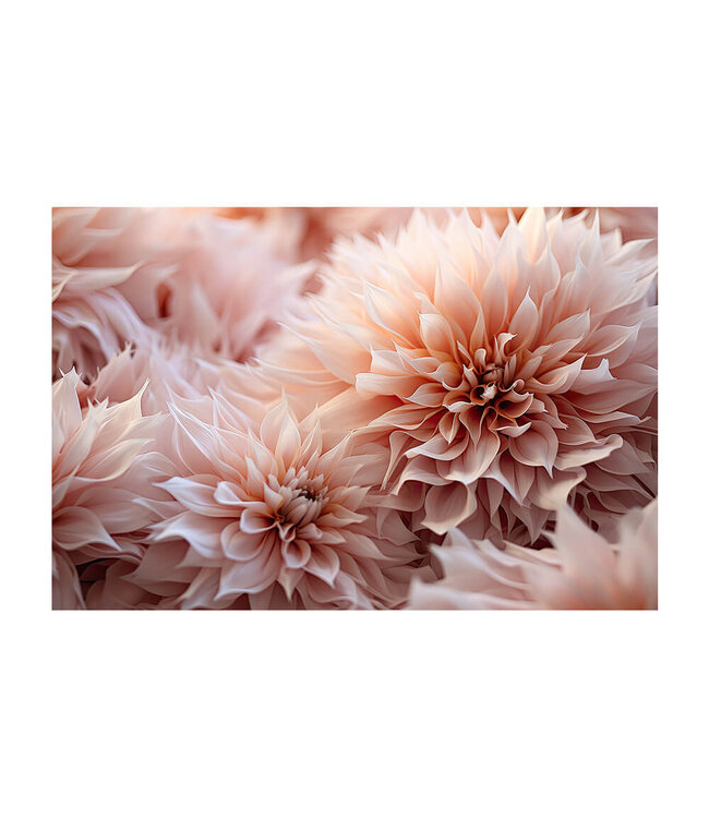 Acoustic picture "peach floral" - in an elegant aluminum frame