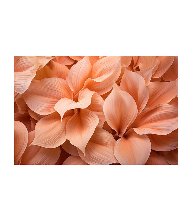 Akustikbild "peach leaves"- in einem eleganten Aluminiumrahmen