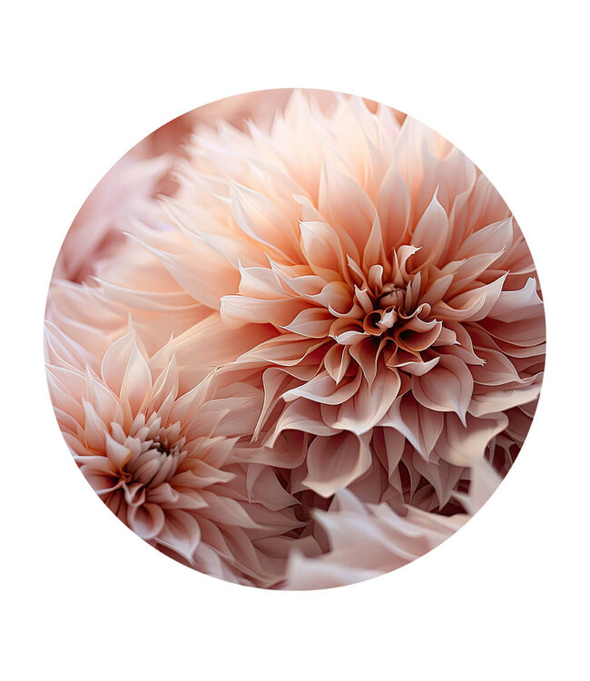 Rundt akustisk bild "peach floral"- i en elegant aluminiumsramme
