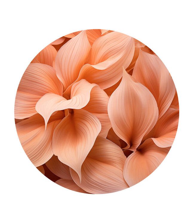 Rundt akustisk bild "peach leaves"- i en elegant aluminiumsramme