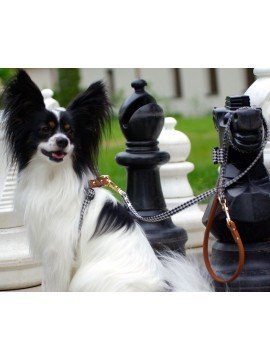 Barcelona dogs leiband Pepita