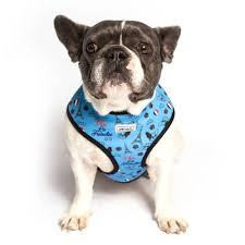 Bulltastic Bulltastic - tuigje Vive la Frenchie