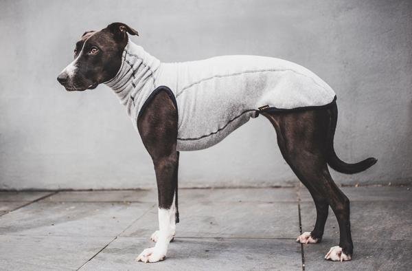 Trendy4Paws Trendy4Paws - fleece sweater windhond