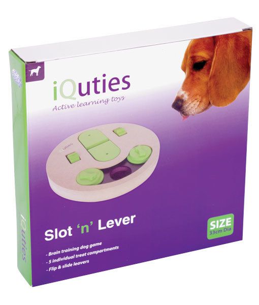 IQuties iQuties - Slot n lever intelligentiespel