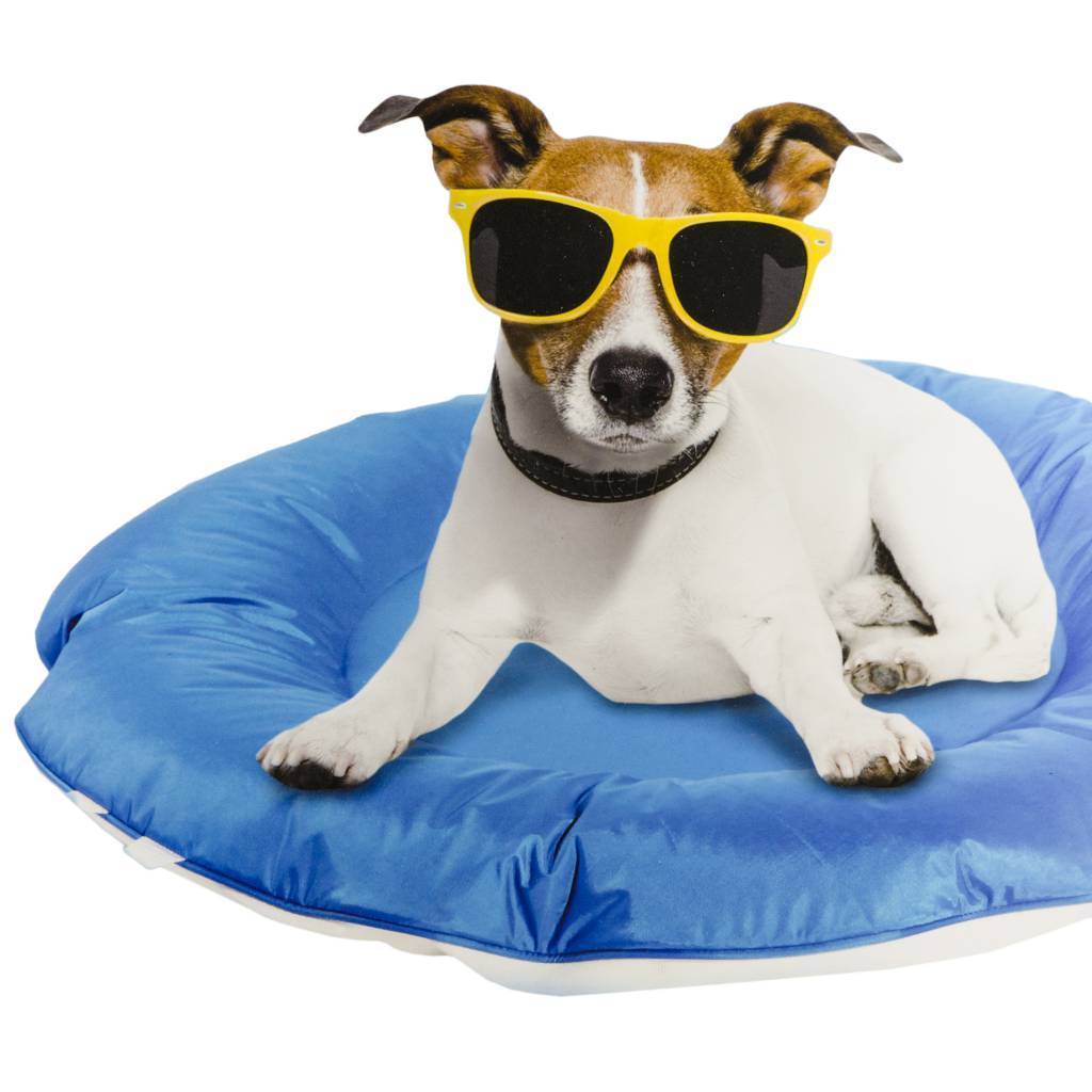 AFP AFP - Chill Out Floating Bed