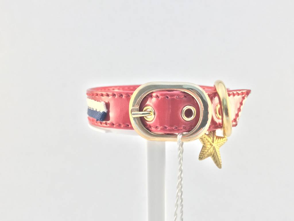 Dog Vip Star Red Collar 30cm