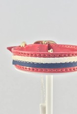 Dog Vip Star Red Collar 30cm