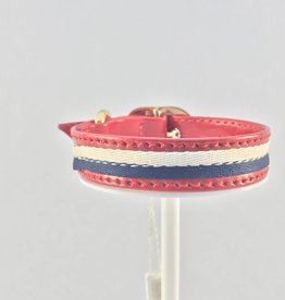 Dog Vip Star Red Collar 30cm