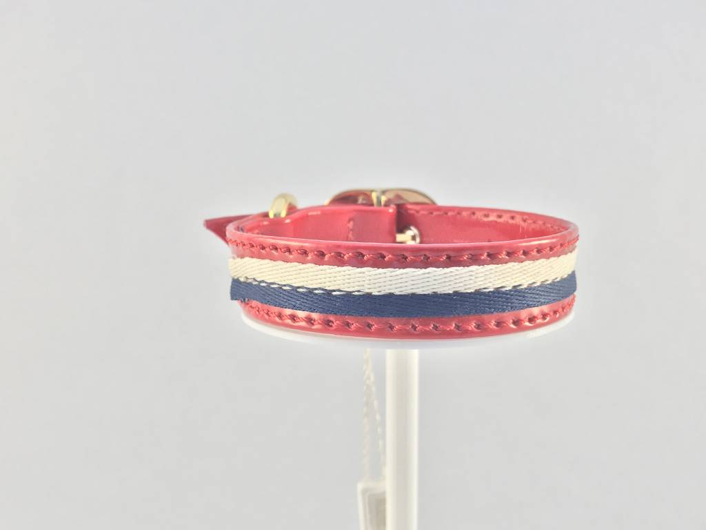 Dog Vip Star Red Collar 30cm