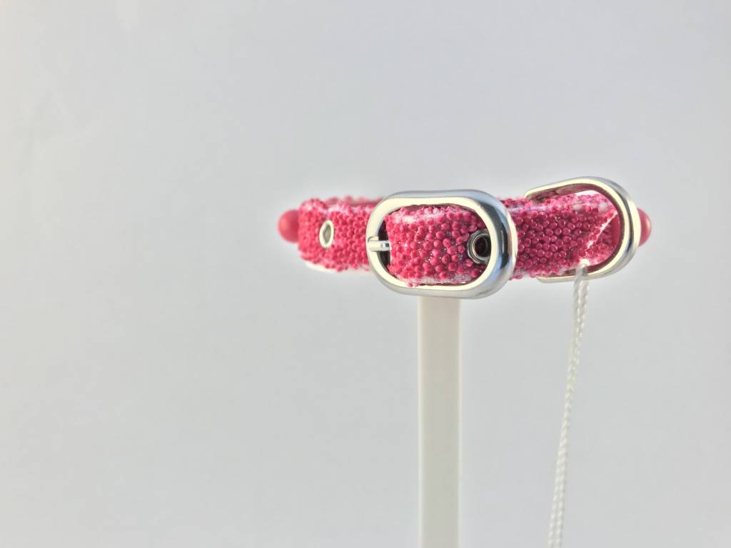 Dog Vip Star Dog Vip Star - halsband Granita Roze (25cm)