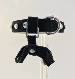 Dog Vip Star Dog Vip Star - halsband Boy (30cm)