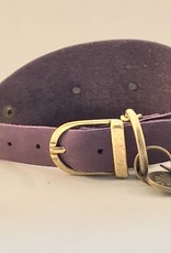 Barcelona dogs Barcelona Dogs - halsband Gaudi Greyhound M