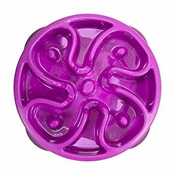 Outward Hound Outward Hound - Fun Feeder mini