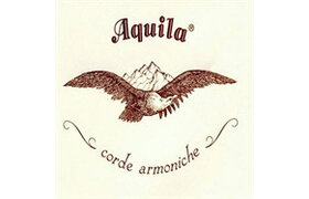 Aquila
