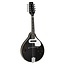Tanglewood Tanglewood TWMTBKPE Mandolin