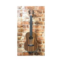 Isuzi Eak-8 Baritone Ukulele (regular ukulele tuning)