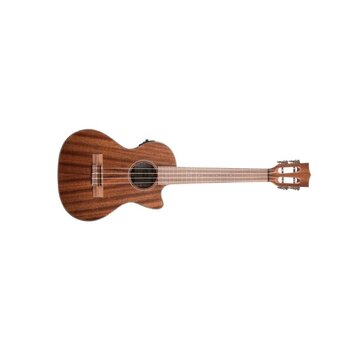 Electro Ukulele