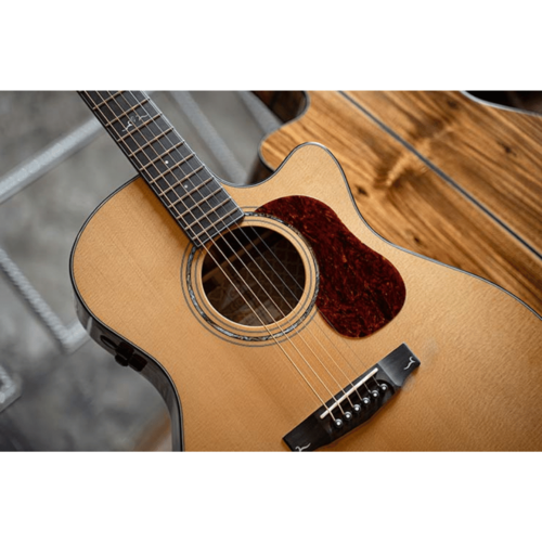 Cort Cort Gold A6 Bocote Natural Acoustic Guitar w/case