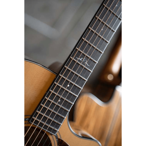 Cort Cort Gold OC6 Bocote Natural Acoustic Guitar w/case