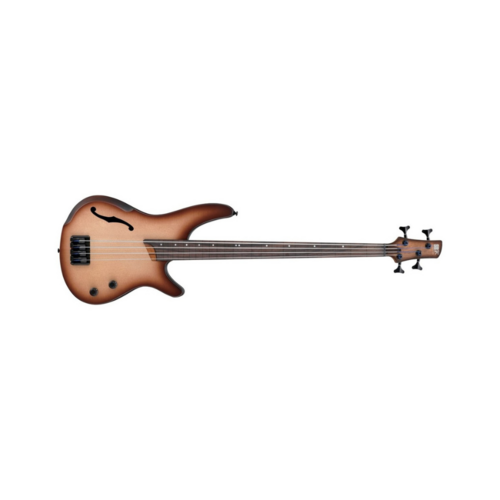 Fretless Bass Guitars