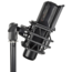 Citronic CM25 Studio Condenser Microphone