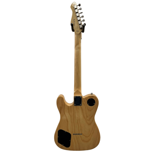 Revelation Revelation RFT F-Hole P90 Tele Natural