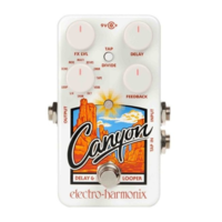 Electro Harmonix Canyon (Delay & Looper)