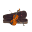 Stentor 1018A Student Standard Violin Outfit 4/4