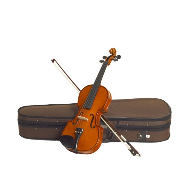 Stentor 1018A Student Standard Violin Outfit 4/4