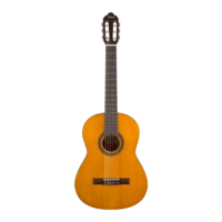 Valencia Guitar 4/4 VC704NA