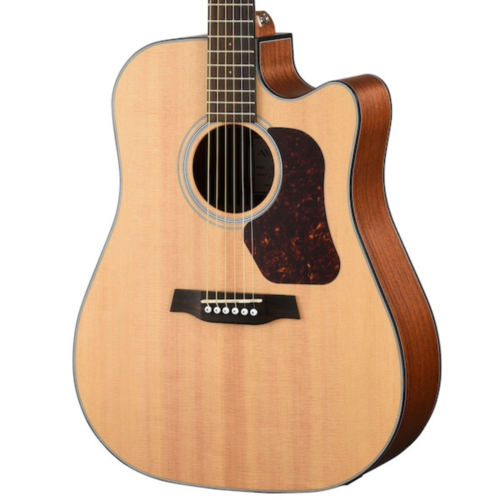 walden Walden WAD550CEW Dreadnought Cutaway Electro (Inc. BAG)