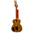 Fender Highway Series Parlour, All-Mahogany (Second Hand)
