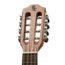 Baton Rouge V2-T8 Sun 8-String Tenor