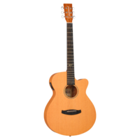 Tanglewood TRGT4CE Roadster GT Super Folk, Solid Top