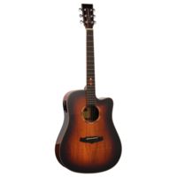 Tanglewood TWX5CEK Winterleaf Dreadnought Electro