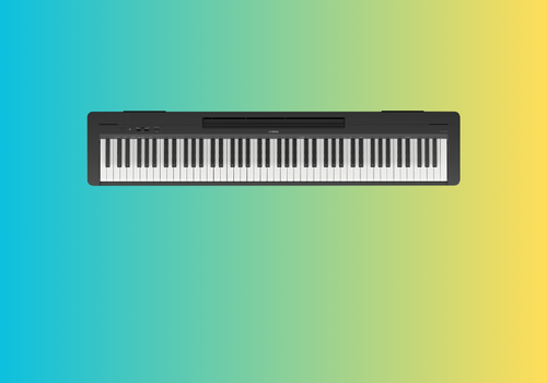 Keyboards & Pianos