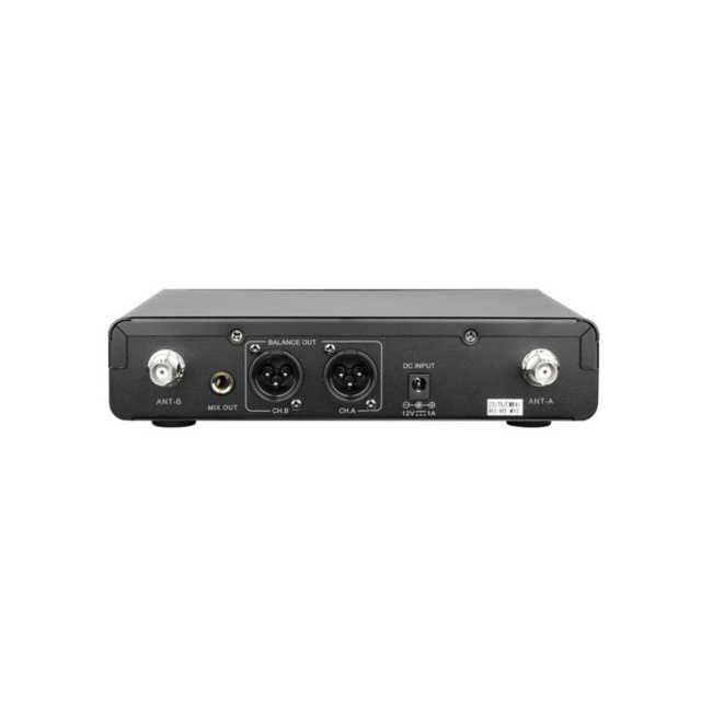 Q Audio QWM 1960 V3 HH Dual Wireless Handheld Mic System