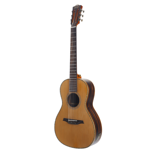 Bromo Rocky Mountain BAR6E w/Bag