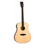 Tanglewood Tanglewood Premier TP5SE Dreadnought Electro Acoustic