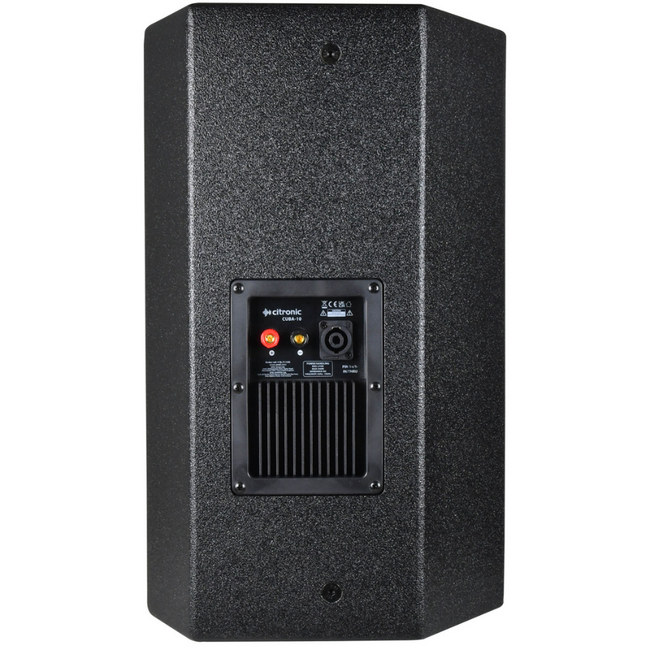 Citronic CUBA 10" Full Range Wooden PA Speaker
