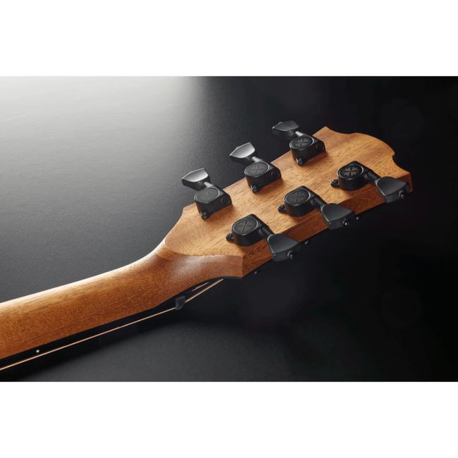 Lag SAUVAGE-DCE Dreadnought Electro Acoustic inc Case