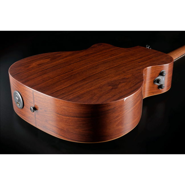 Lag TBW2ACE BlueWave 2 Auditorium Pan Coupe Electro inc Case