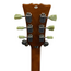 Harley Benton SC-450 Plus, Vintage Burst (Second Hand)