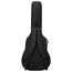 Bromo BAN2CE Danali GA Electro Acoustic (inc BAG)