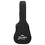 Bromo BAN2CE Danali GA Electro Acoustic (inc BAG)