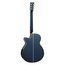 Tanglewood TW4CEBLA Electro Winterleaf Super Folk, Blue Gloss