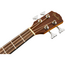 Fender CB-60SCE Acoustic Bass, Natural WN